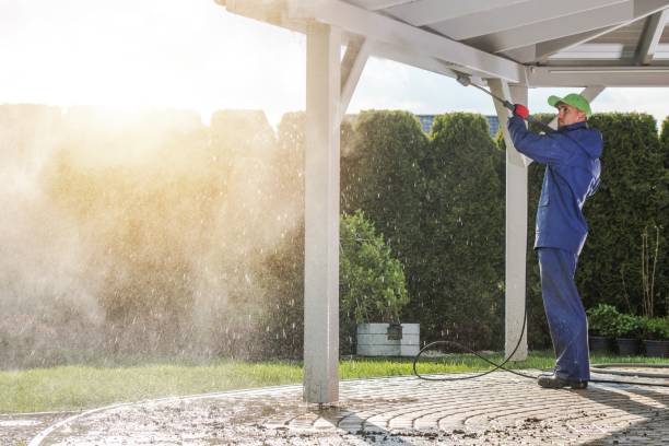 Trusted Ladonia, AL  Pressure Washing Services Experts