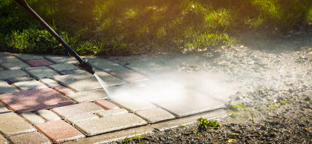 Best Factory Floor Cleaning  in Ladonia, AL